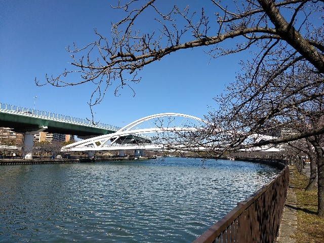 f:id:pppoooppp:20180214191010j:image f:id:pppoooppp:20180214191010j:image