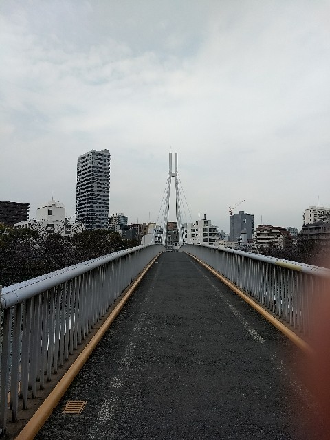 f:id:pppoooppp:20180215210055j:image f:id:pppoooppp:20180215210055j:image