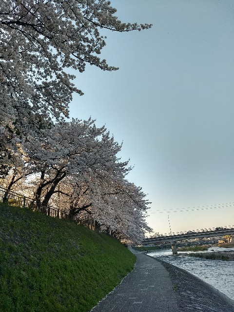 f:id:pppoooppp:20180331111814j:image f:id:pppoooppp:20180331111814j:image