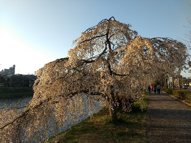 f:id:pppoooppp:20180331112018j:image f:id:pppoooppp:20180331112018j:image