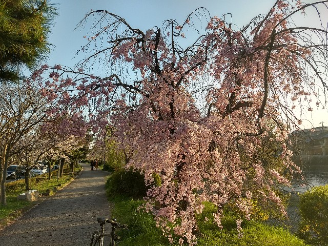 f:id:pppoooppp:20180331112040j:image f:id:pppoooppp:20180331112040j:image