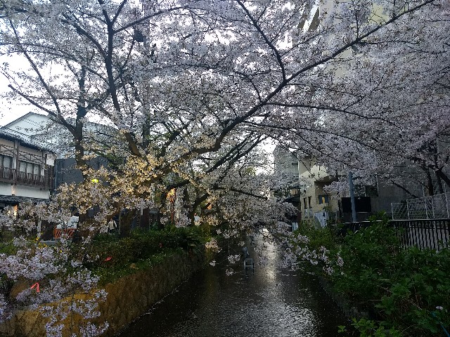 f:id:pppoooppp:20180331112157j:image f:id:pppoooppp:20180331112157j:image