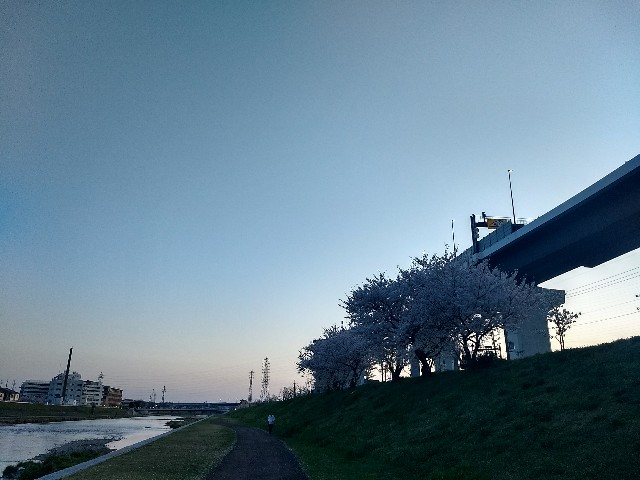 f:id:pppoooppp:20180331112254j:image f:id:pppoooppp:20180331112254j:image