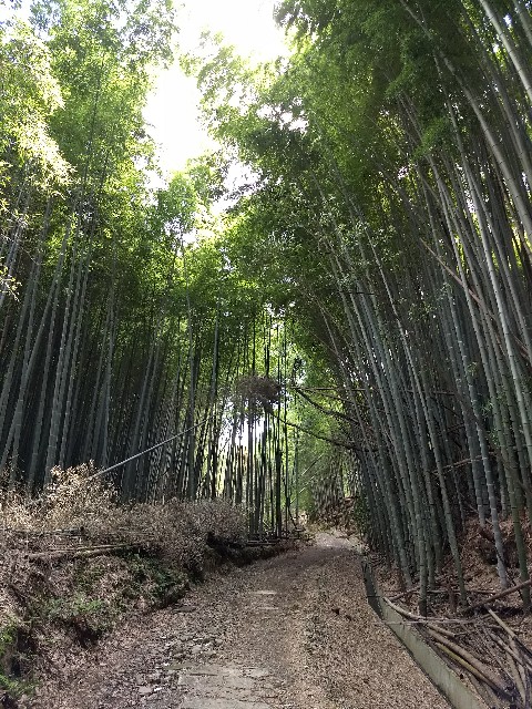 f:id:pppoooppp:20180414174140j:image