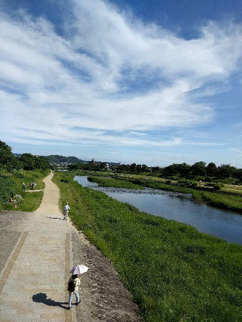 f:id:pppoooppp:20180522122533j:image f:id:pppoooppp:20180522122533j:image