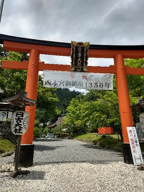 f:id:pppoooppp:20180618133121j:image