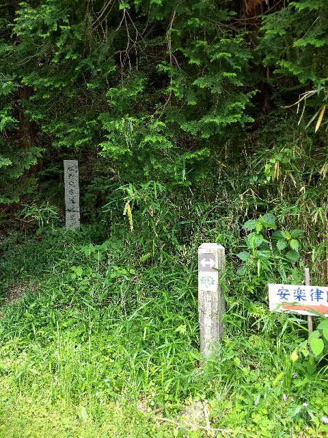f:id:pppoooppp:20180618133154j:image