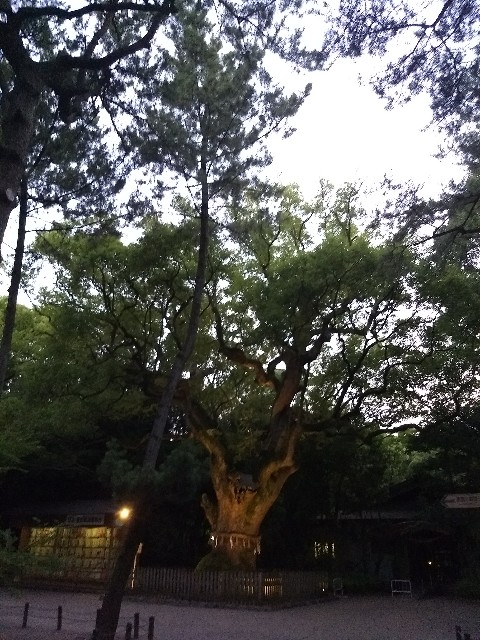 f:id:pppoooppp:20180720165153j:image