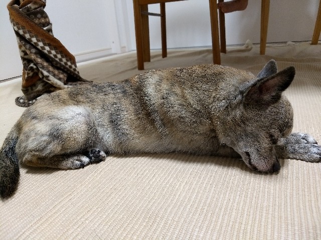 f:id:pppoooppp:20180814214634j:image f:id:pppoooppp:20180814214634j:image