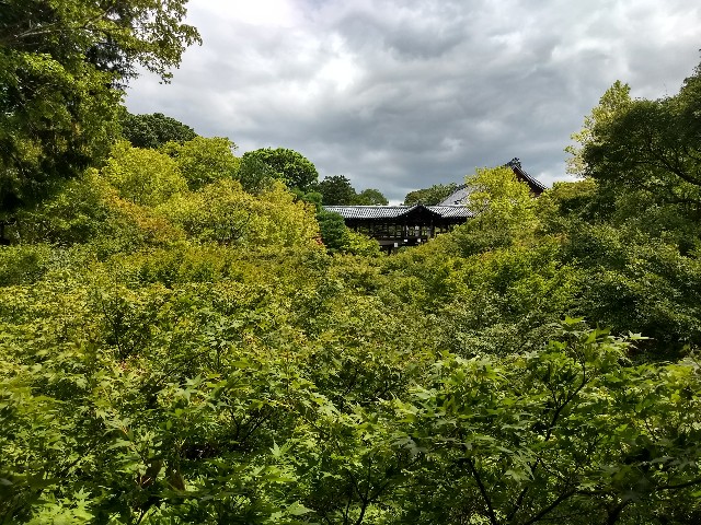 f:id:pppoooppp:20180826002207j:image
