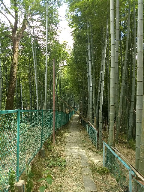 f:id:pppoooppp:20180826002300j:image