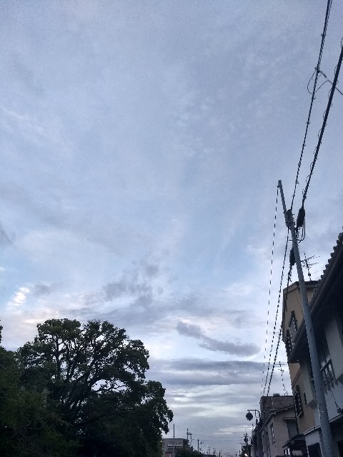 f:id:pppoooppp:20180907235734j:image f:id:pppoooppp:20180907235734j:image