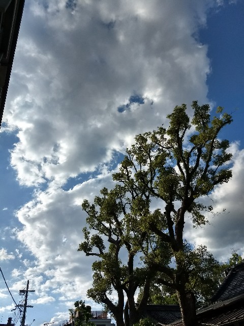 f:id:pppoooppp:20180928230838j:image f:id:pppoooppp:20180928230838j:image