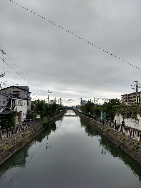f:id:pppoooppp:20181006113159j:image f:id:pppoooppp:20181006113159j:image