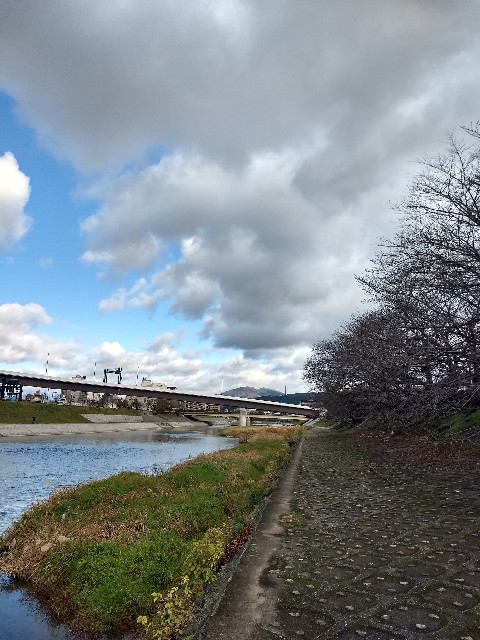 f:id:pppoooppp:20181212165323j:image f:id:pppoooppp:20181212165323j:image