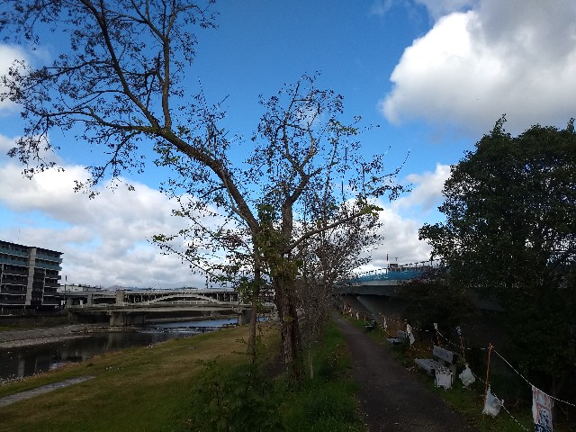 f:id:pppoooppp:20181212165411j:image f:id:pppoooppp:20181212165411j:image