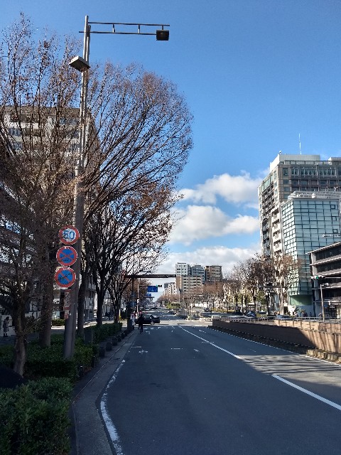 f:id:pppoooppp:20190114134639j:image f:id:pppoooppp:20190114134639j:image