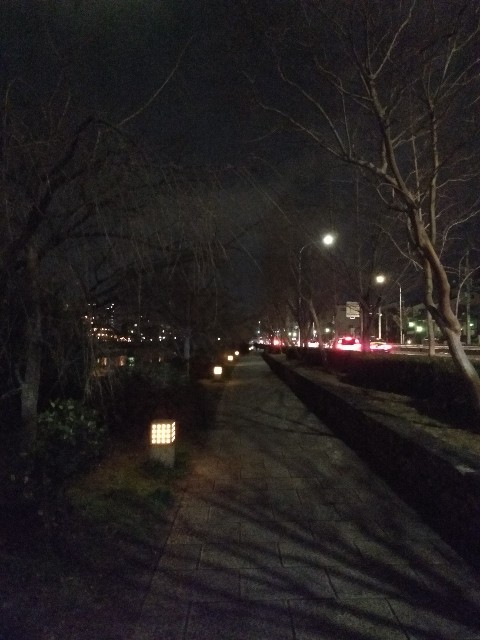 f:id:pppoooppp:20190125230045j:image