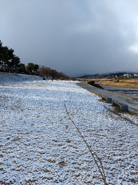 f:id:pppoooppp:20190126222640j:image f:id:pppoooppp:20190126222640j:image