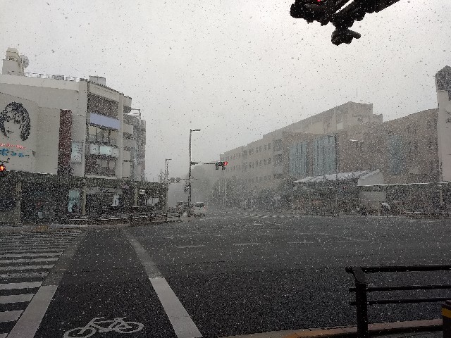 f:id:pppoooppp:20190126222741j:image f:id:pppoooppp:20190126222741j:image