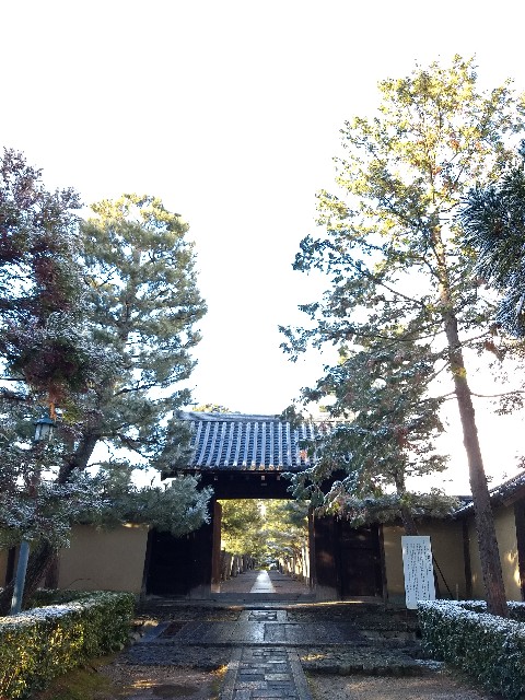 f:id:pppoooppp:20190126222822j:image f:id:pppoooppp:20190126222822j:image