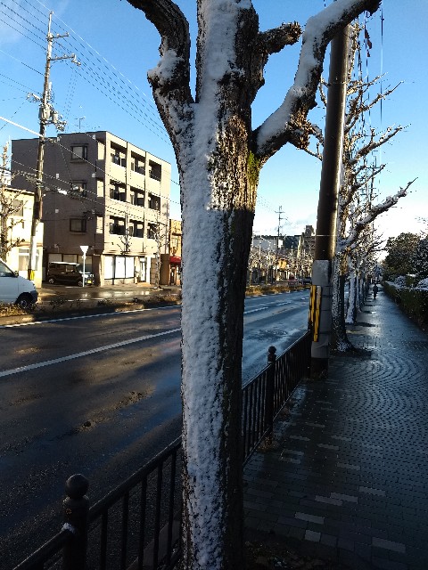 f:id:pppoooppp:20190126222837j:image f:id:pppoooppp:20190126222837j:image