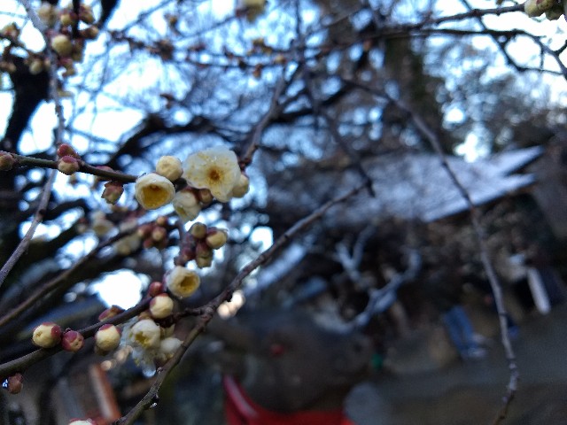 f:id:pppoooppp:20190126223017j:image f:id:pppoooppp:20190126223017j:image