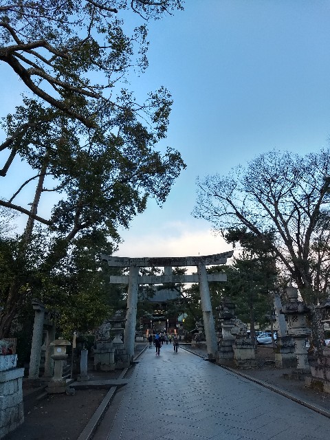 f:id:pppoooppp:20190126223042j:image f:id:pppoooppp:20190126223042j:image