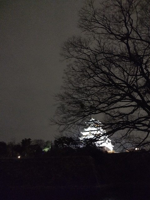 f:id:pppoooppp:20190222003418j:image