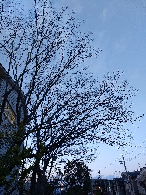 f:id:pppoooppp:20190316220332j:image f:id:pppoooppp:20190316220332j:image