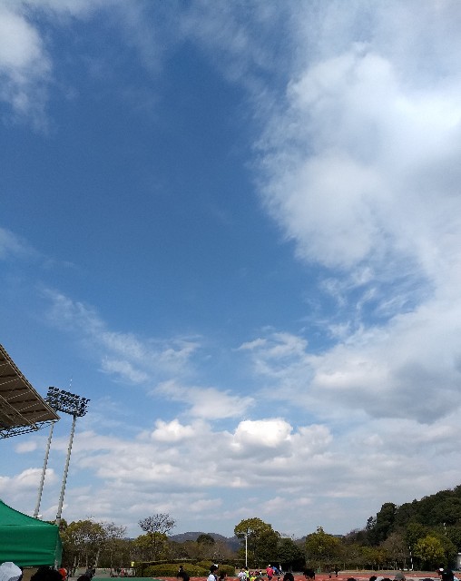 f:id:pppoooppp:20190324140509j:image f:id:pppoooppp:20190324140509j:image