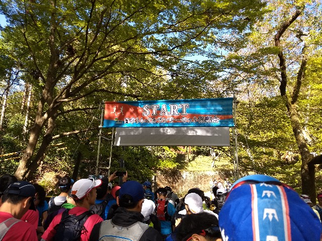 f:id:pppoooppp:20190420233008j:image