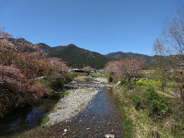 f:id:pppoooppp:20190420233507j:image