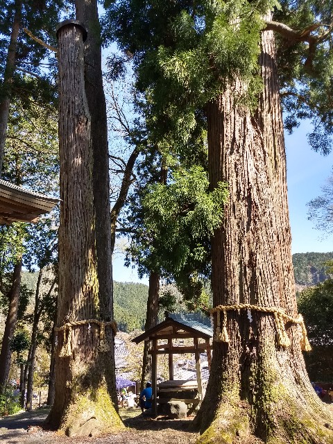 f:id:pppoooppp:20190420233540j:image