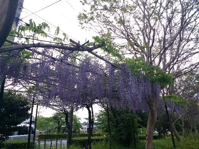 f:id:pppoooppp:20190426223205j:image f:id:pppoooppp:20190426223205j:image
