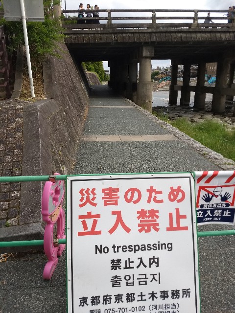 f:id:pppoooppp:20190609184415j:image f:id:pppoooppp:20190609184415j:image