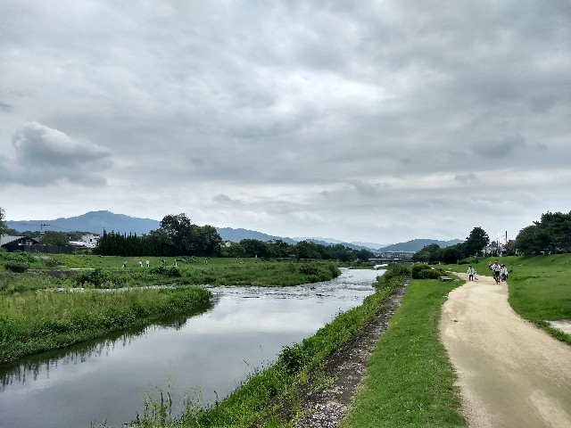 f:id:pppoooppp:20190901214155j:image f:id:pppoooppp:20190901214155j:image