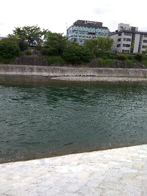 f:id:pppoooppp:20190901214313j:image f:id:pppoooppp:20190901214313j:image