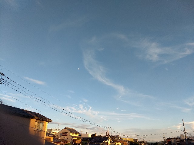 f:id:pppoooppp:20190908224124j:image f:id:pppoooppp:20190908224124j:image