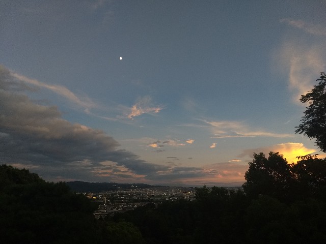 f:id:pppoooppp:20190908224208j:image f:id:pppoooppp:20190908224208j:image