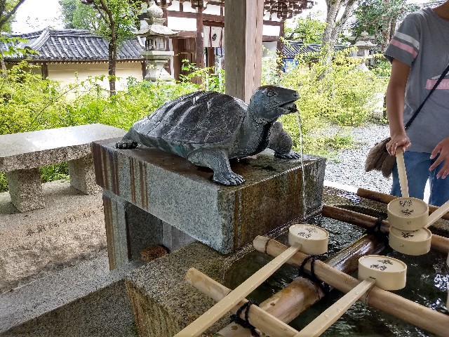 f:id:pppoooppp:20190916220401j:image f:id:pppoooppp:20190916220401j:image
