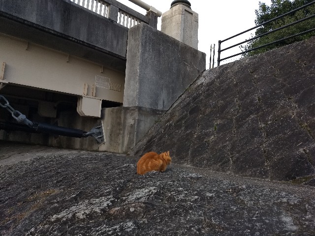 f:id:pppoooppp:20191102002949j:image f:id:pppoooppp:20191102002949j:image