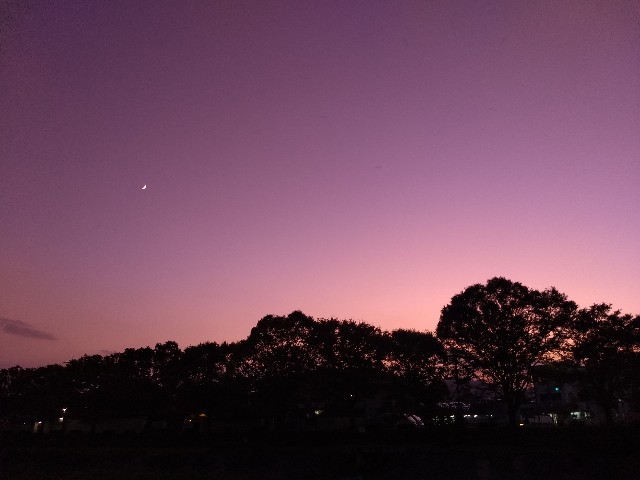f:id:pppoooppp:20191102003023j:image f:id:pppoooppp:20191102003023j:image