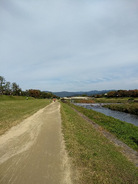 f:id:pppoooppp:20191108225816j:image f:id:pppoooppp:20191108225816j:image