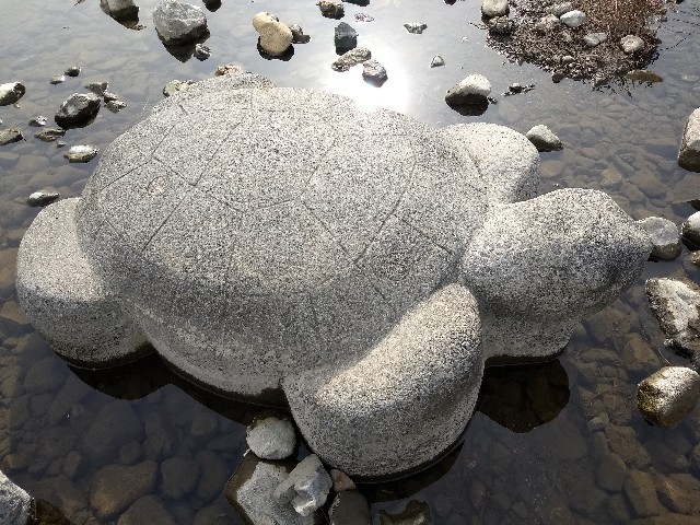 f:id:pppoooppp:20191108225841j:image f:id:pppoooppp:20191108225841j:image