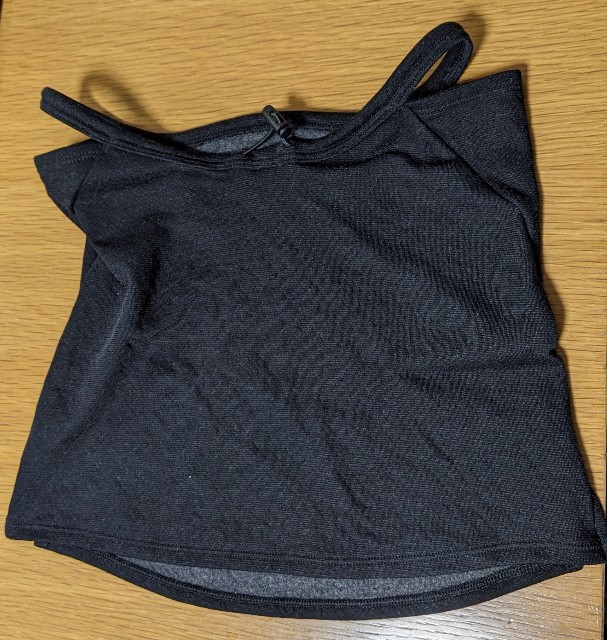 f:id:pppoooppp:20210111200618j:image