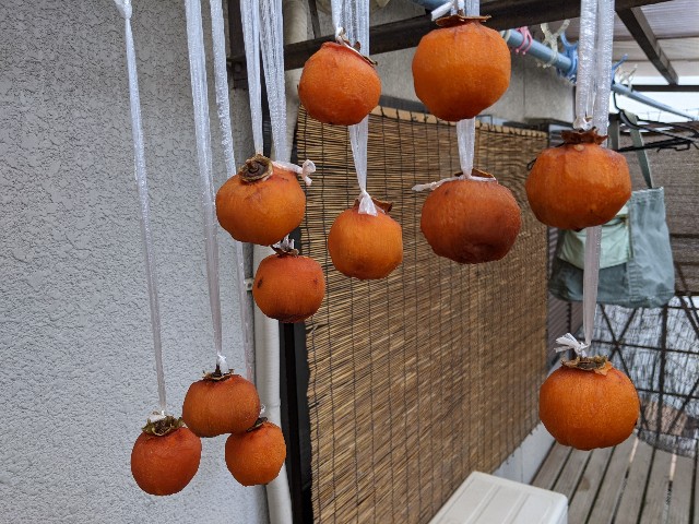 f:id:pppoooppp:20210111200638j:image