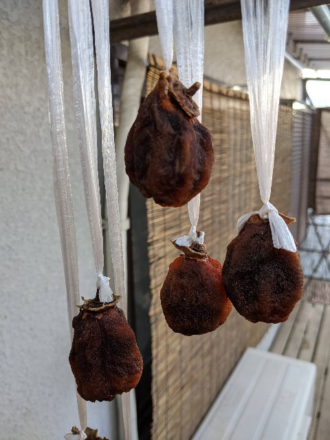 f:id:pppoooppp:20210111200653j:image