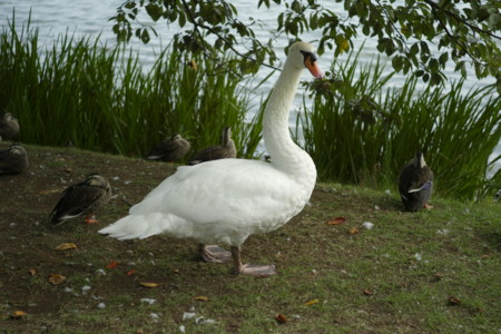 f:id:pprzrggn:20100919131541j:image f:id:pprzrggn:20100919131541j:image