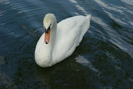 f:id:pprzrggn:20120907214433j:image f:id:pprzrggn:20120907214433j:image